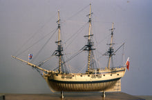 Load image into Gallery viewer, Druid