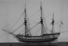 Load image into Gallery viewer, Rattlesnake