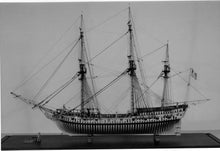 Load image into Gallery viewer, Rattlesnake