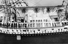 Load image into Gallery viewer, Rattlesnake