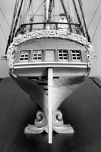 Load image into Gallery viewer, Rattlesnake