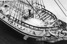 Load image into Gallery viewer, Rattlesnake