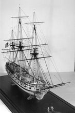 Load image into Gallery viewer, Rattlesnake