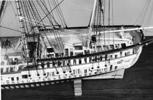 Load image into Gallery viewer, Rattlesnake