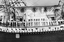 Load image into Gallery viewer, Rattlesnake